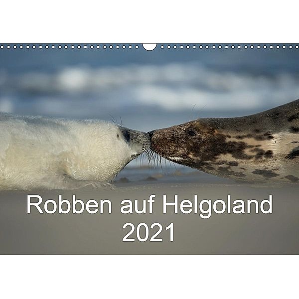 Robben auf Helgoland 2021CH-Version (Wandkalender 2021 DIN A3 quer), Stefan Leimer