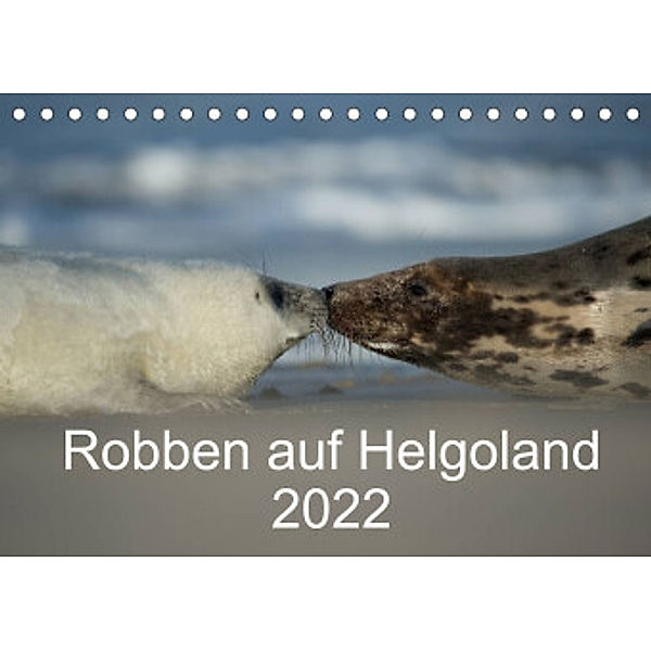 Robben auf Helgoland 2022CH-Version  (Tischkalender 2022 DIN A5 quer), Stefan Leimer