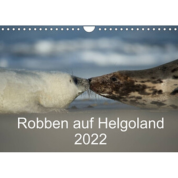 Robben auf Helgoland 2022CH-Version  (Wandkalender 2022 DIN A4 quer), Stefan Leimer