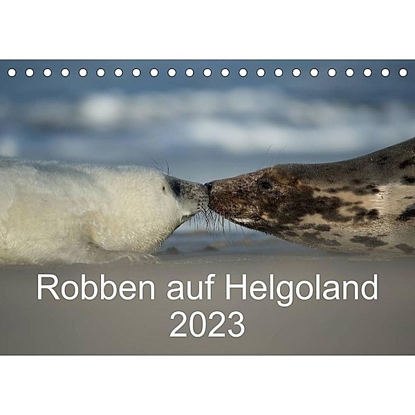 Robben auf Helgoland 2023CH-Version  (Tischkalender 2023 DIN A5 quer), Stefan Leimer