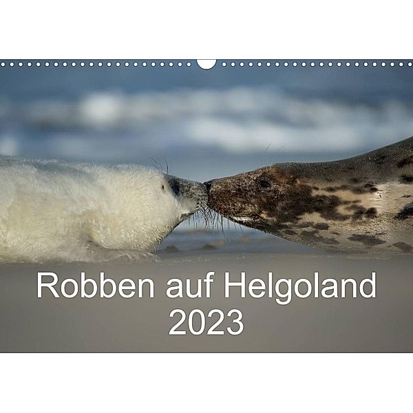 Robben auf Helgoland 2023CH-Version  (Wandkalender 2023 DIN A3 quer), Stefan Leimer