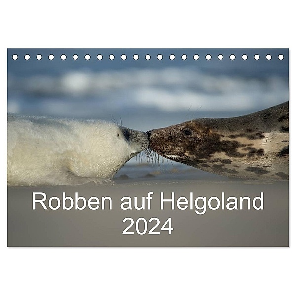 Robben auf Helgoland 2024 (Tischkalender 2024 DIN A5 quer), CALVENDO Monatskalender, Stefan Leimer