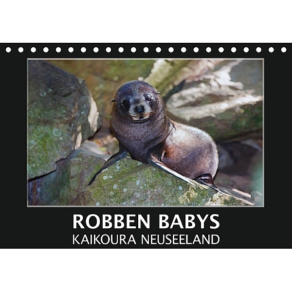 Robben Babys - Kaikoura Neuseeland (Tischkalender 2018 DIN A5 quer) Dieser erfolgreiche Kalender wurde dieses Jahr mit g, Gundis Bort