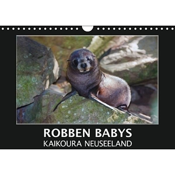 Robben Babys - Kaikoura Neuseeland (Wandkalender 2016 DIN A4 quer), Gundis Bort