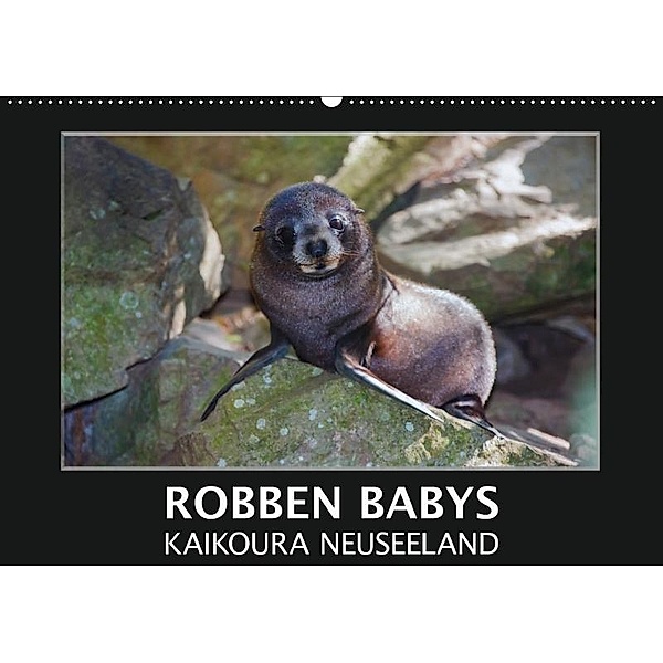 Robben Babys - Kaikoura Neuseeland (Wandkalender 2017 DIN A2 quer), Gundis Bort