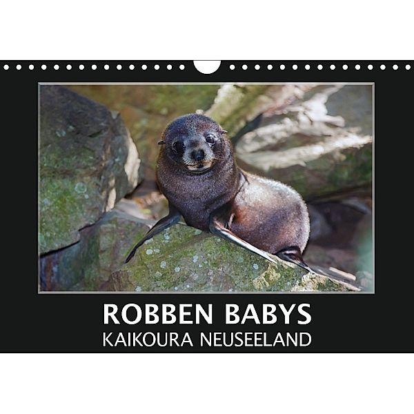 Robben Babys - Kaikoura Neuseeland (Wandkalender 2018 DIN A4 quer) Dieser erfolgreiche Kalender wurde dieses Jahr mit gl, Gundis Bort