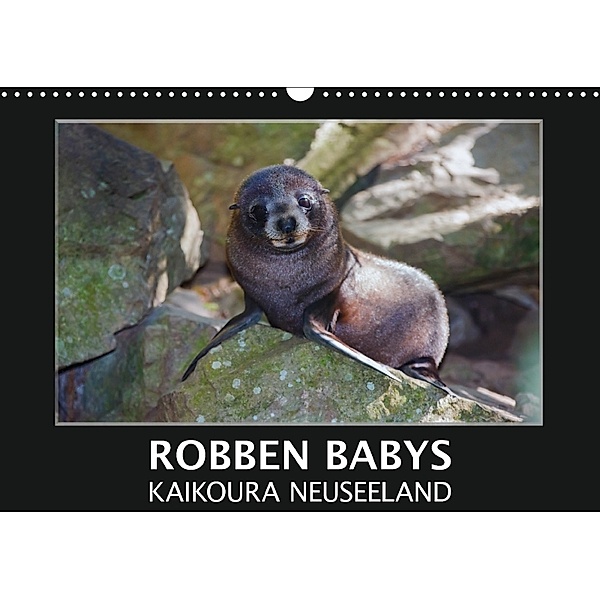 Robben Babys - Kaikoura Neuseeland (Wandkalender 2018 DIN A3 quer) Dieser erfolgreiche Kalender wurde dieses Jahr mit gl, Gundis Bort