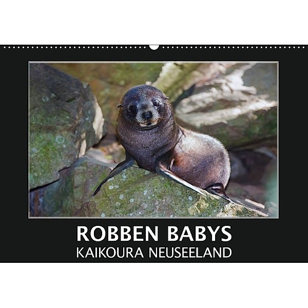 Robben Babys - Kaikoura Neuseeland (Wandkalender 2018 DIN A2 quer) Dieser erfolgreiche Kalender wurde dieses Jahr mit gl, Gundis Bort