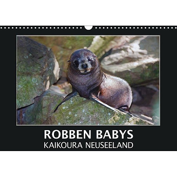Robben Babys - Kaikoura Neuseeland (Wandkalender 2021 DIN A3 quer), Gundis Bort