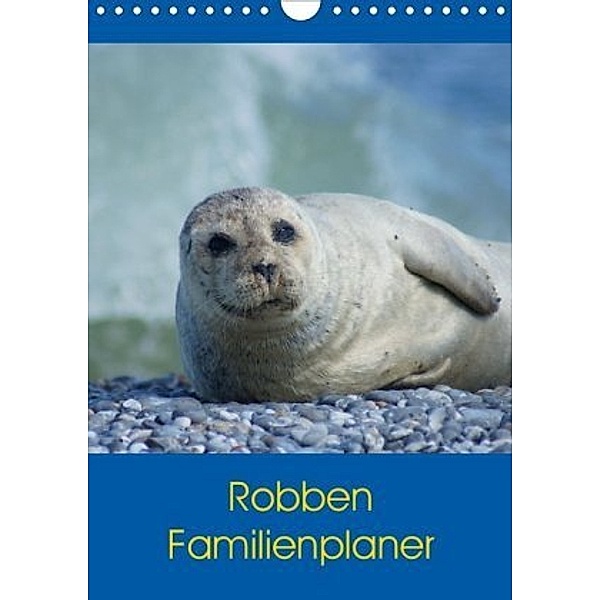 Robben Familienplaner (Wandkalender 2020 DIN A4 hoch)