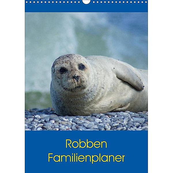 Robben Familienplaner (Wandkalender 2023 DIN A3 hoch), Kattobello