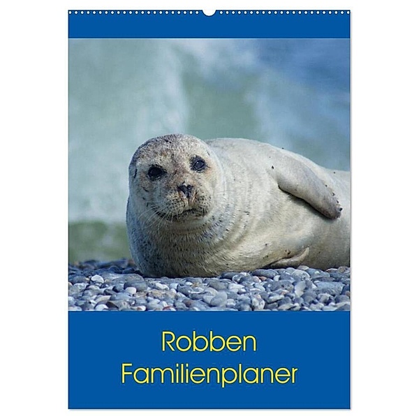 Robben Familienplaner (Wandkalender 2024 DIN A2 hoch), CALVENDO Monatskalender, Kattobello