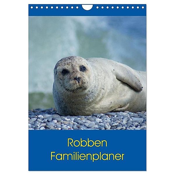 Robben Familienplaner (Wandkalender 2024 DIN A4 hoch), CALVENDO Monatskalender, Kattobello
