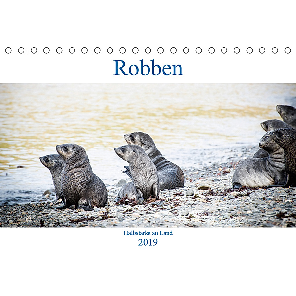 Robben - Halbstarke an Land (Tischkalender 2019 DIN A5 quer), Nadja Siegl