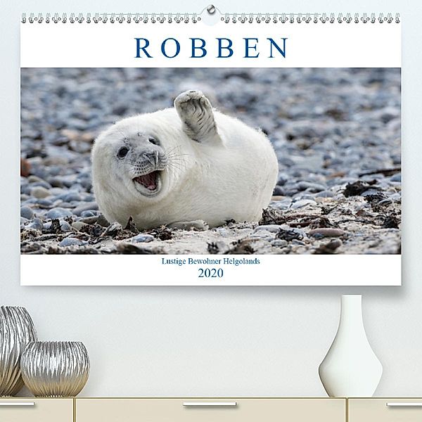 Robben - Lustige Bewohner Helgolands (Premium-Kalender 2020 DIN A2 quer), Egid Orth