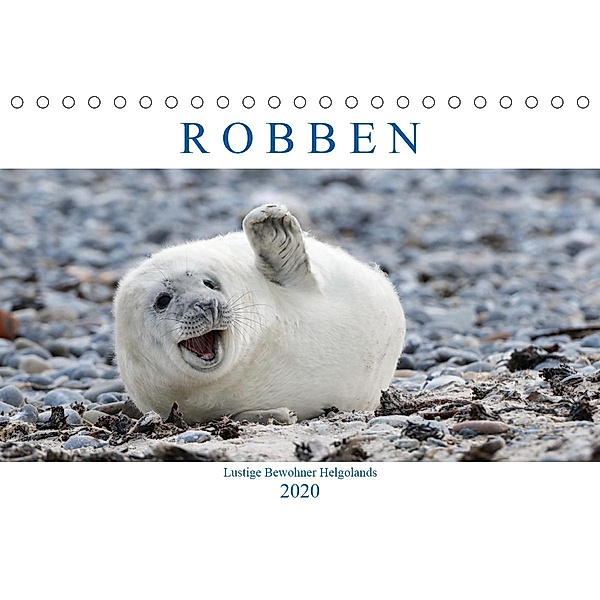 Robben - Lustige Bewohner Helgolands (Tischkalender 2020 DIN A5 quer), Egid Orth