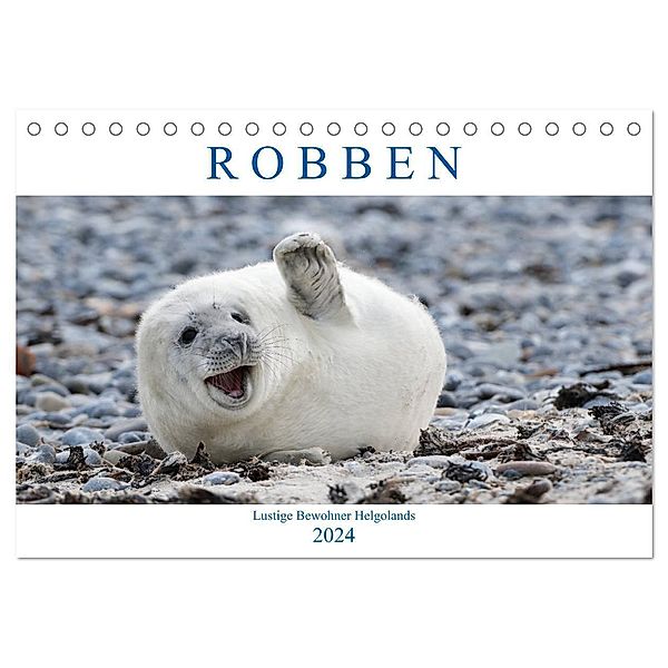 Robben - Lustige Bewohner Helgolands (Tischkalender 2024 DIN A5 quer), CALVENDO Monatskalender, Egid Orth