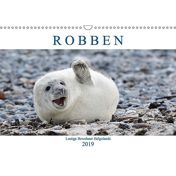 Robben - Lustige Bewohner Helgolands (Wandkalender 2019 DIN A3 quer), Egid Orth
