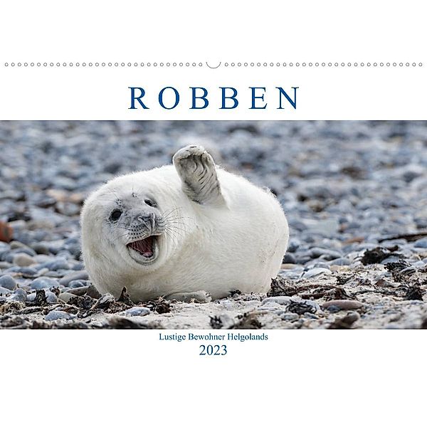 Robben - Lustige Bewohner Helgolands (Wandkalender 2023 DIN A2 quer), Egid Orth