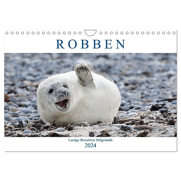 Robben - Lustige Bewohner Helgolands (Wandkalender 2024 DIN A4 quer), CALVENDO Monatskalender, Egid Orth
