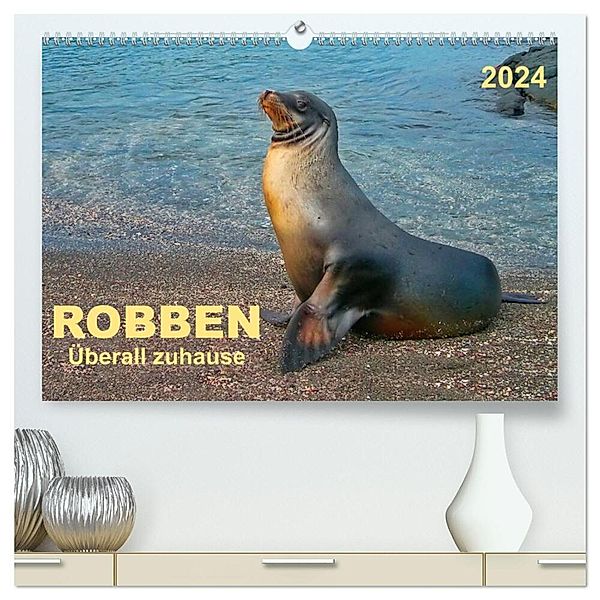 Robben - überall zuhause (hochwertiger Premium Wandkalender 2024 DIN A2 quer), Kunstdruck in Hochglanz, Peter Roder