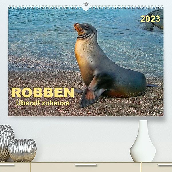 Robben - überall zuhause (Premium, hochwertiger DIN A2 Wandkalender 2023, Kunstdruck in Hochglanz), Peter Roder
