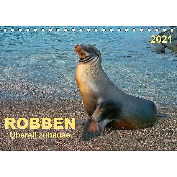 Robben - überall zuhause (Tischkalender 2021 DIN A5 quer), Peter Roder