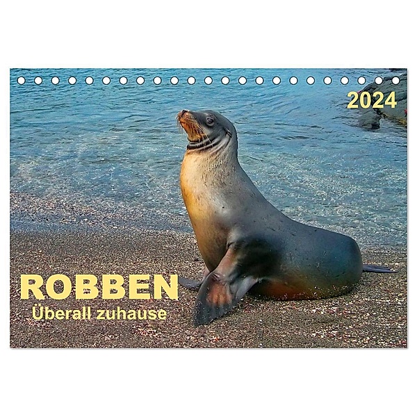 Robben - überall zuhause (Tischkalender 2024 DIN A5 quer), CALVENDO Monatskalender, Peter Roder
