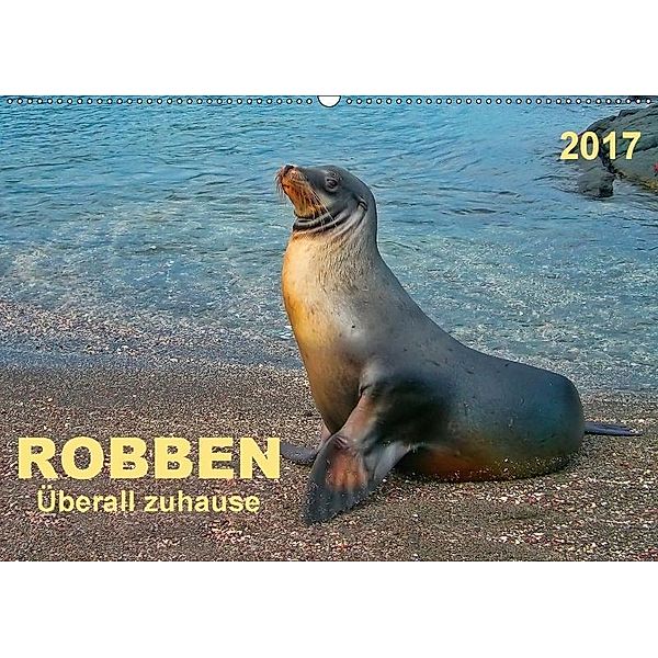 Robben - überall zuhause (Wandkalender 2017 DIN A2 quer), Peter Roder