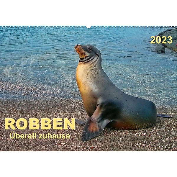 Robben - überall zuhause (Wandkalender 2023 DIN A2 quer), Peter Roder