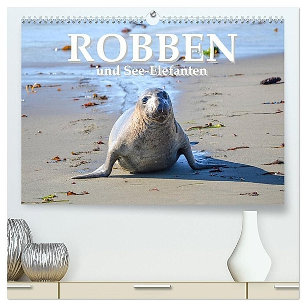 Robben und See-Elefanten (hochwertiger Premium Wandkalender 2024 DIN A2 quer), Kunstdruck in Hochglanz, Robert Styppa