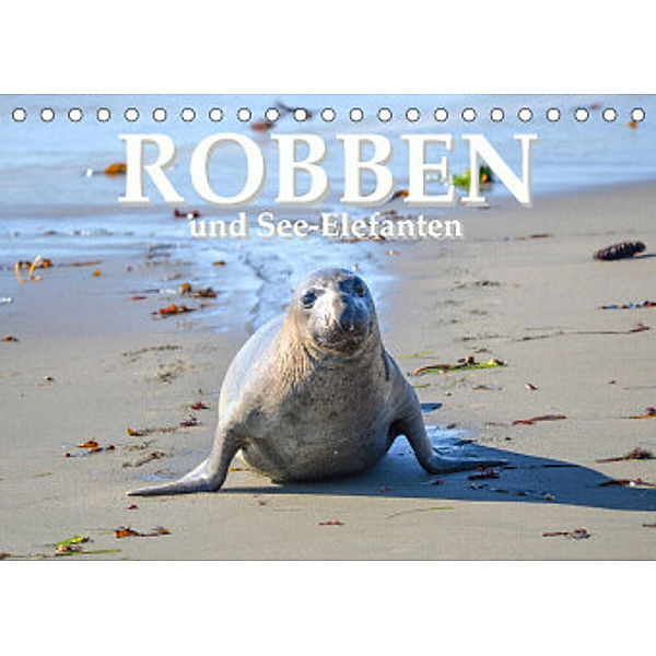 Robben und See-Elefanten (Tischkalender 2022 DIN A5 quer), Robert Styppa