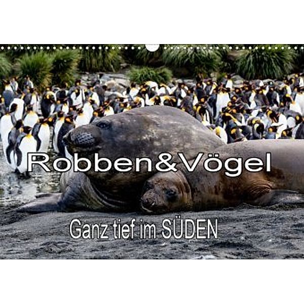 Robben & Vögel - Ganz tief im SÜDEN (Wandkalender 2020 DIN A3 quer), Frank BAUMERT