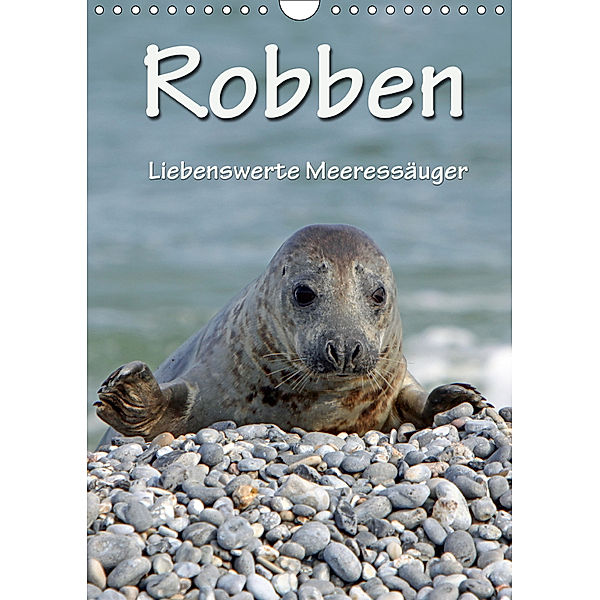 Robben (Wandkalender 2019 DIN A4 hoch), Martina Berg