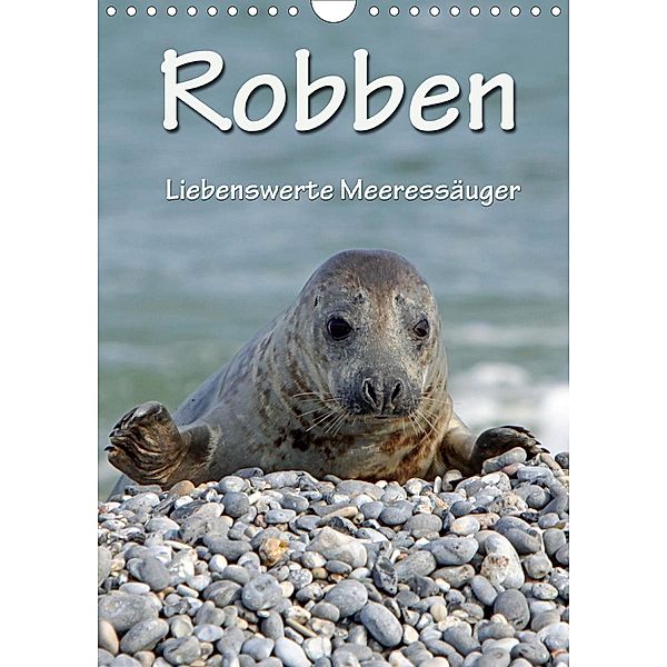 Robben (Wandkalender 2021 DIN A4 hoch), Martina Berg