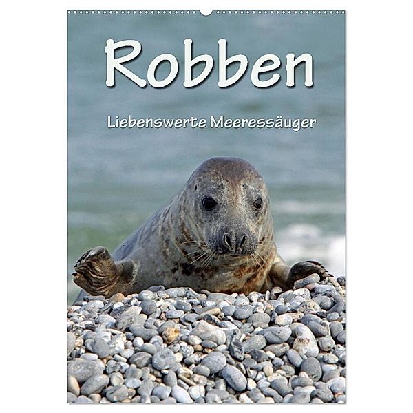 Robben (Wandkalender 2024 DIN A2 hoch), CALVENDO Monatskalender, Martina Berg