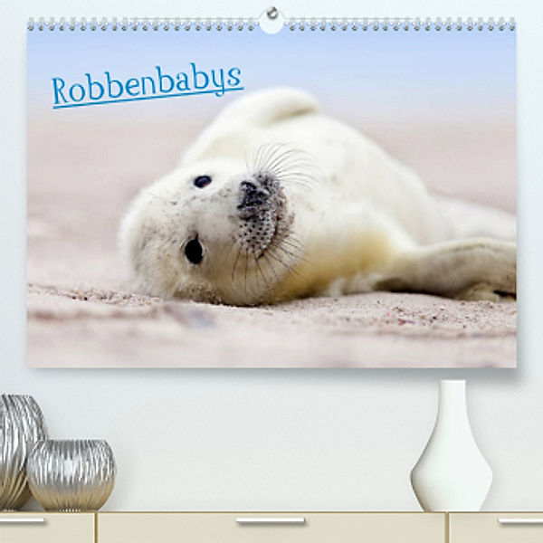 Robbenbabys (Premium, hochwertiger DIN A2 Wandkalender 2022, Kunstdruck in Hochglanz), Jenny Sturm