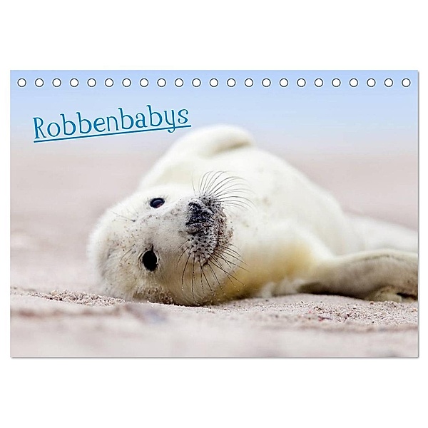Robbenbabys (Tischkalender 2024 DIN A5 quer), CALVENDO Monatskalender, Jenny Sturm
