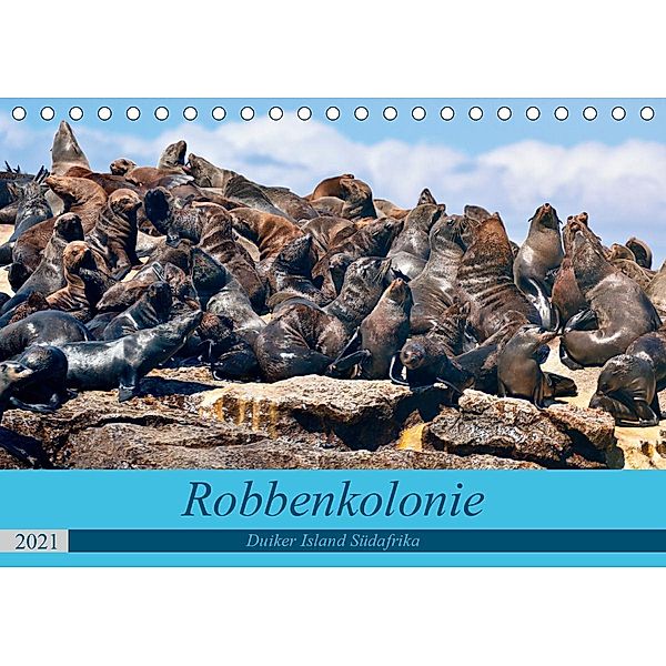 Robbenkolonie Duiker Island Südafrika (Tischkalender 2021 DIN A5 quer), www.kult-fotos.de