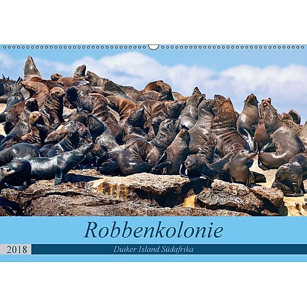 Robbenkolonie Duiker Island Südafrika (Wandkalender 2018 DIN A2 quer) Dieser erfolgreiche Kalender wurde dieses Jahr mit, www.kult-fotos.de
