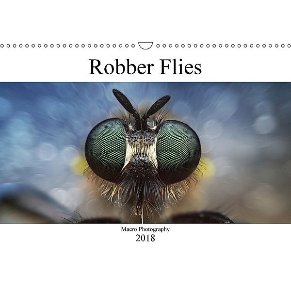 Robber Flies (Wall Calendar 2018 DIN A3 Landscape), Alexander Mett
