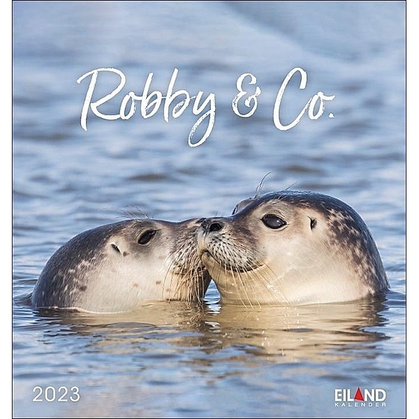 Robby & Co Postkartenkalender 2023. Robben und Seehunde in natürlicher Umgebung in einem kleinen Kalender. Postkarten-Fo