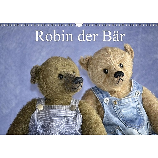 Robin der Bär (Wandkalender 2020 DIN A3 quer), Rolf Robischon, Marie Robischon