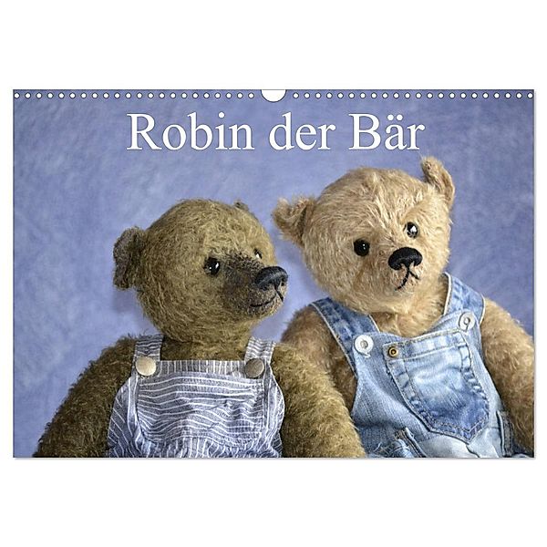 Robin der Bär (Wandkalender 2024 DIN A3 quer), CALVENDO Monatskalender, Rolf Robischon