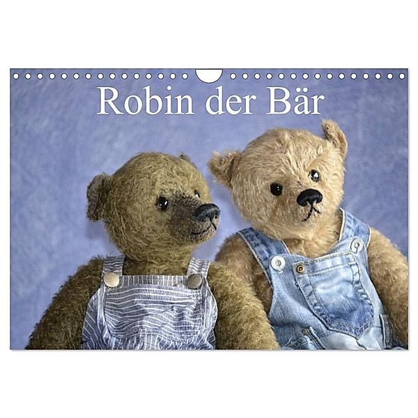 Robin der Bär (Wandkalender 2024 DIN A4 quer), CALVENDO Monatskalender, Rolf Robischon