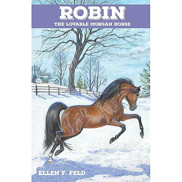 Robin: The Lovable Morgan Horse / Morgan Horse, Ellen F. Feld