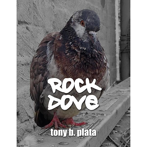 Rock Dove, Tony B. Plata