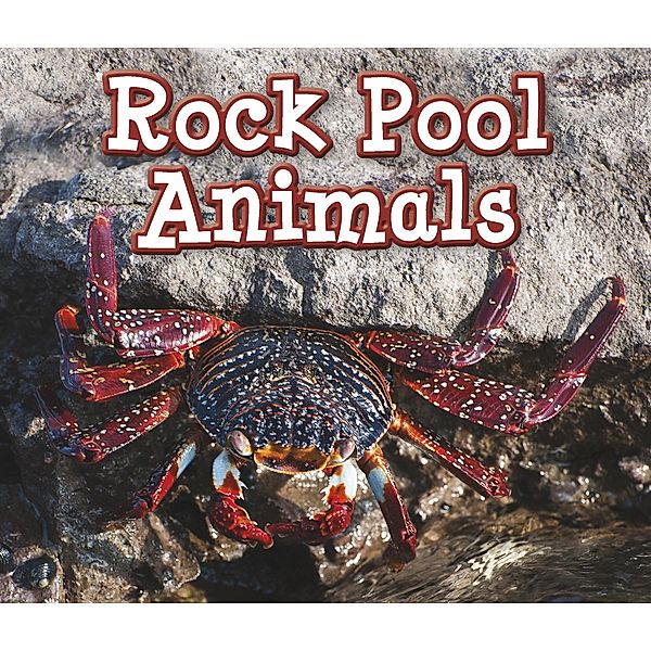 Rock Pool Animals / Raintree Publishers, Sian Smith