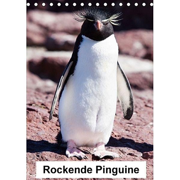 Rockende Pinguine (Tischkalender 2016 DIN A5 hoch), Sabine Reuke