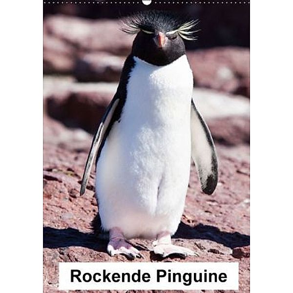 Rockende Pinguine (Wandkalender 2015 DIN A2 hoch), Sabine Reuke